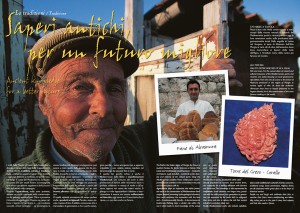 Imp. Brochure
