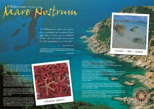 Imp. Brochure