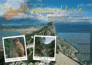Imp. Brochure