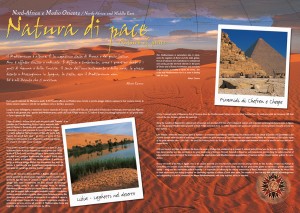 Imp. Brochure